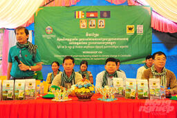 Bình Điền giúp nông dân Campuchia tăng năng suất lúa thêm 1 tấn/ha