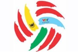Giải bóng chuyền nữ quốc tế tranh cúp VTV - Bình Điền lần VIII - 2014